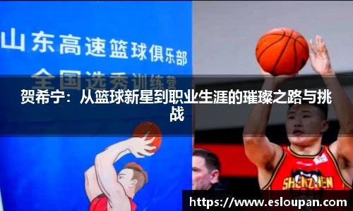 贺希宁：从篮球新星到职业生涯的璀璨之路与挑战