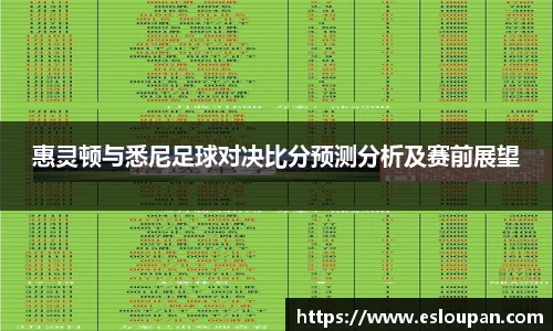 惠灵顿与悉尼足球对决比分预测分析及赛前展望