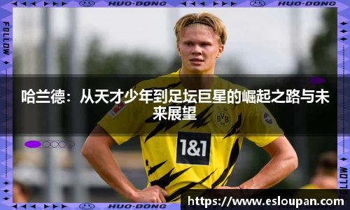 JBO电竞